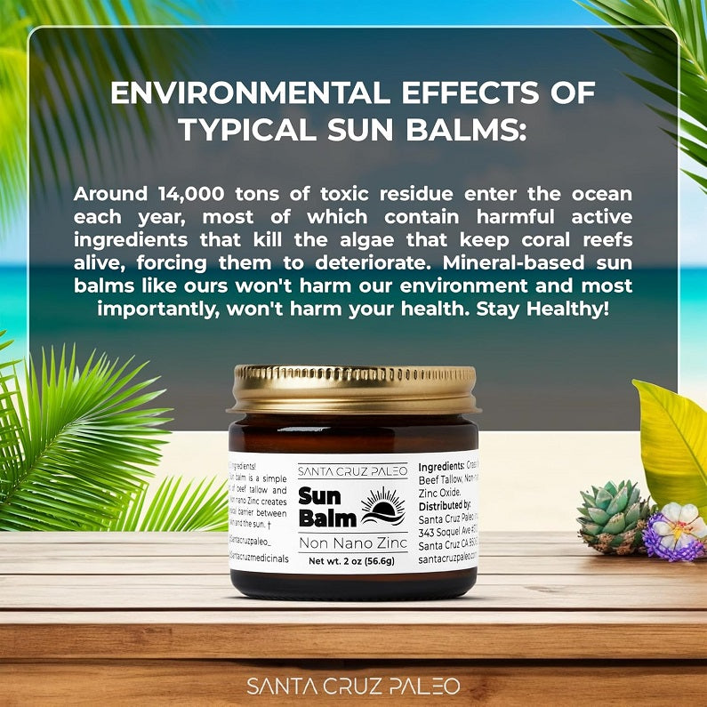 Santa Cruz Paleo Sun Balm + Non-Nano Zinc 56.6g