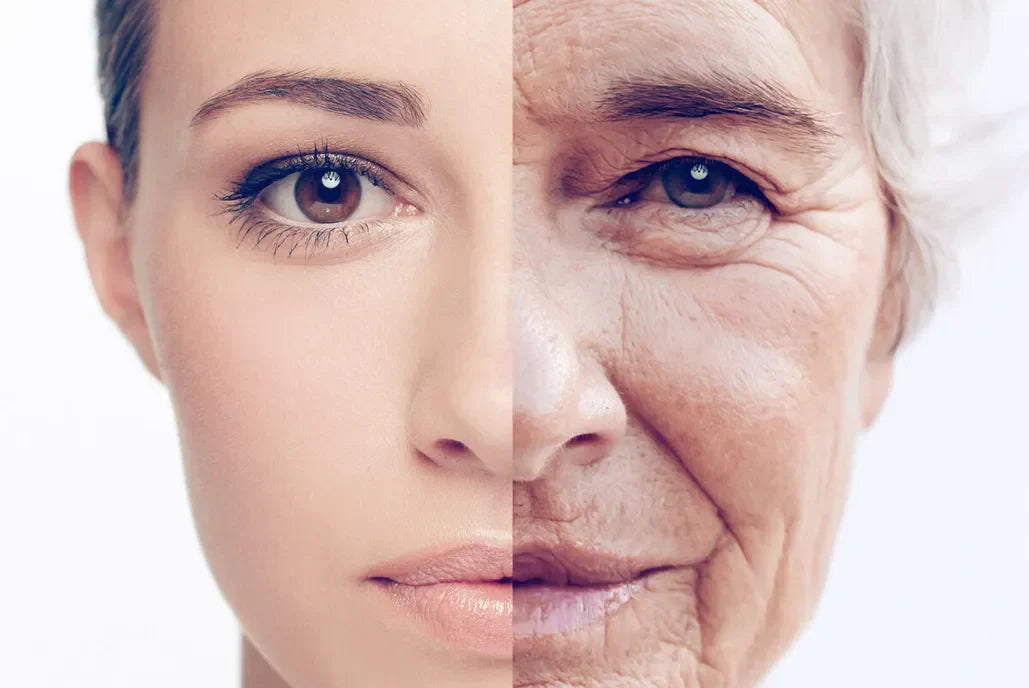 Understanding the Aging Process: Why We Age and How to Age Well