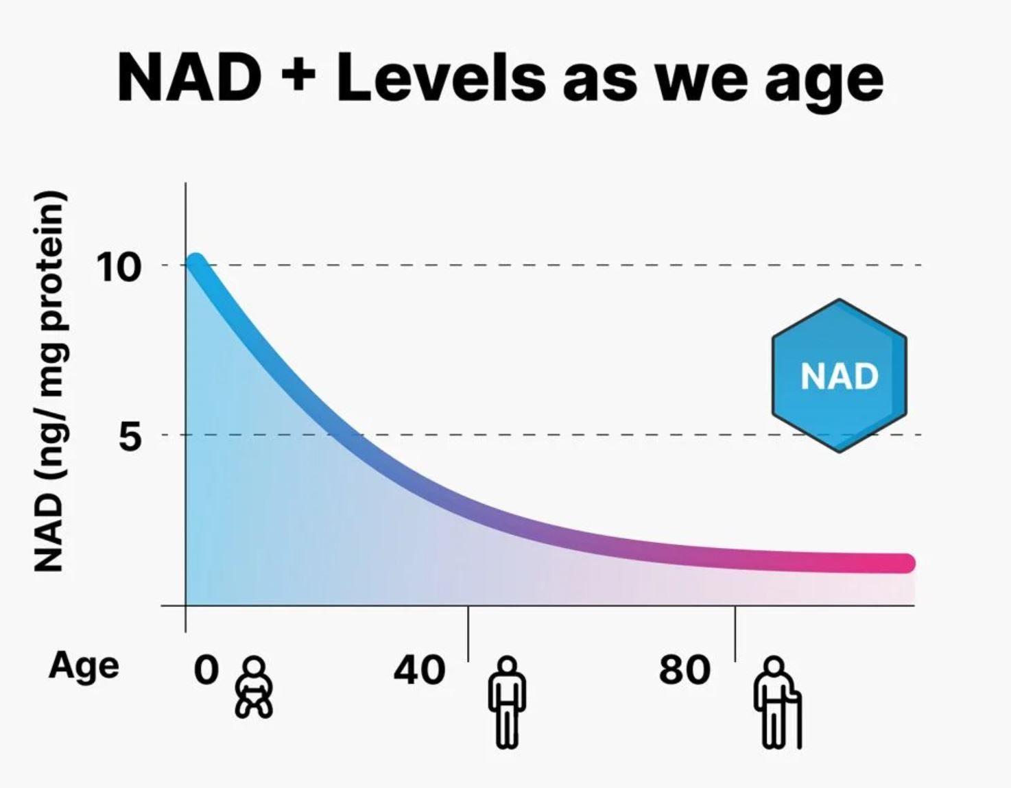Understanding NAD: The Molecule That Powers Your Cells