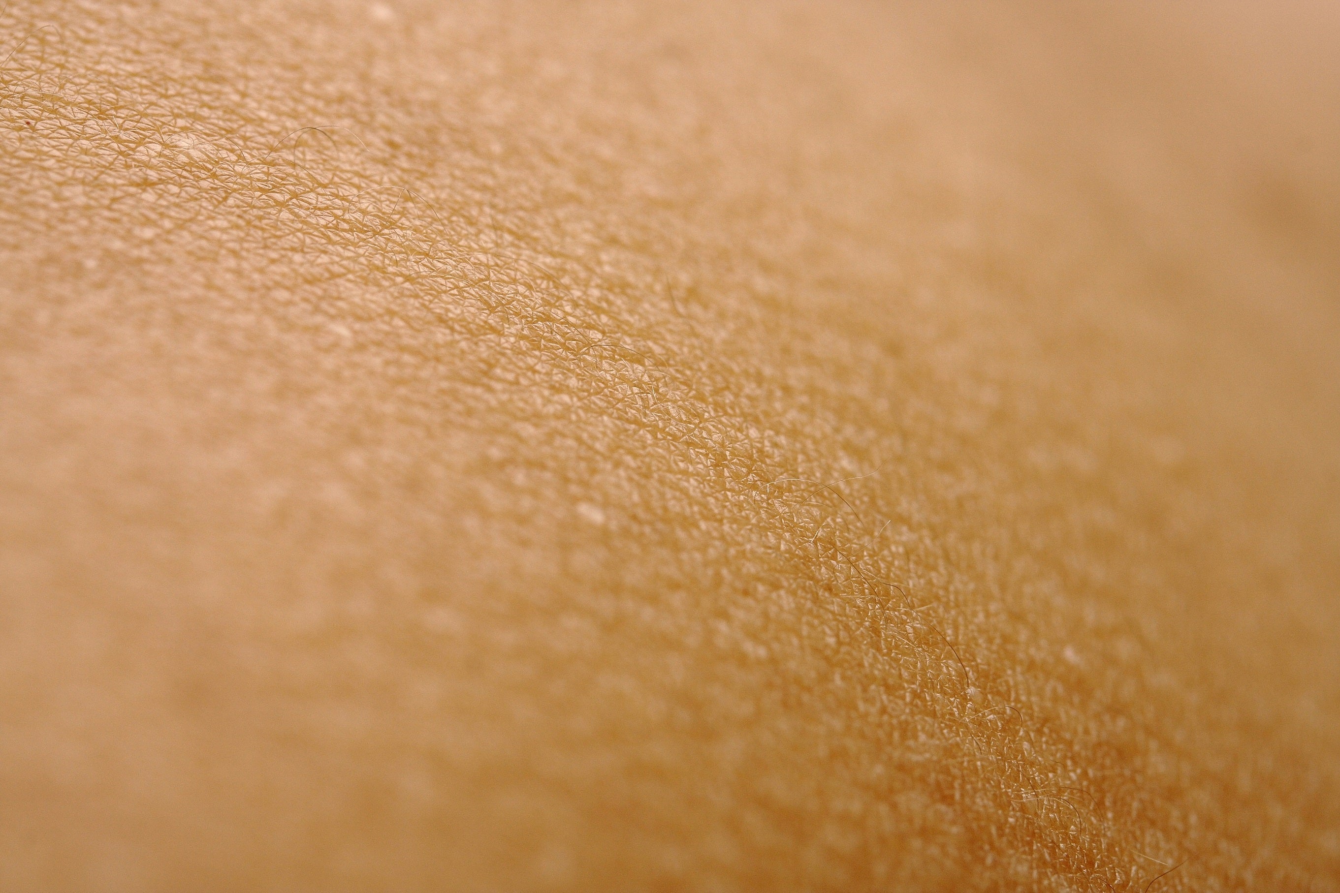 How to Repair a Damaged Skin Barrier: Signs, Causes & Best Ingredients