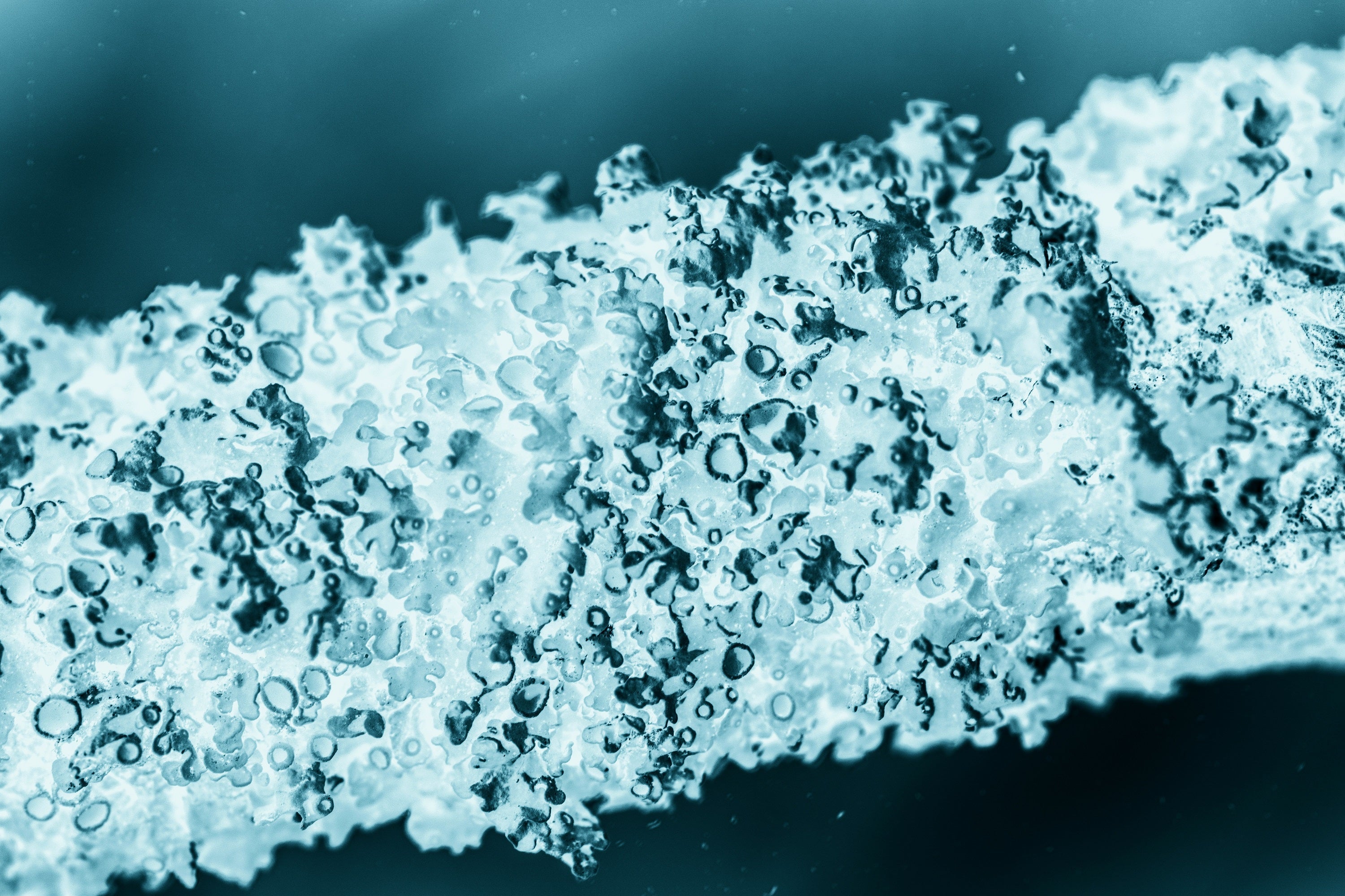 Collagen vs Hyaluronic Acid for Skin: What's the Difference & Which Is Better?