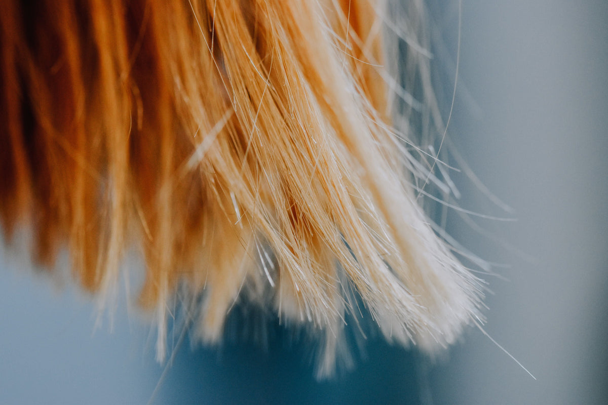 Close view of blonde hair lengths showing texture and ends