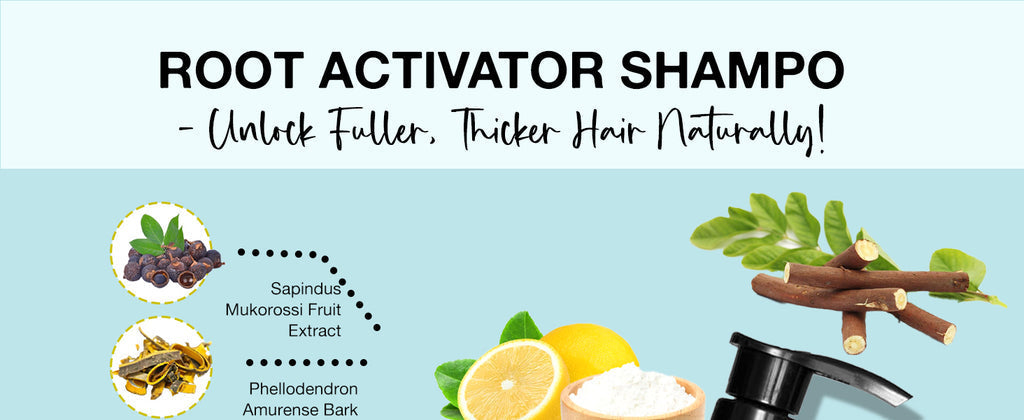 Root activator shampoo banner with pump bottle and citrus/leaf illustrations