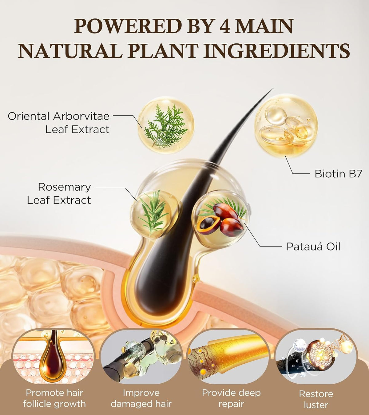 Biotin shampoo infographic showing plant extracts, biotin B7, and nourishing oils