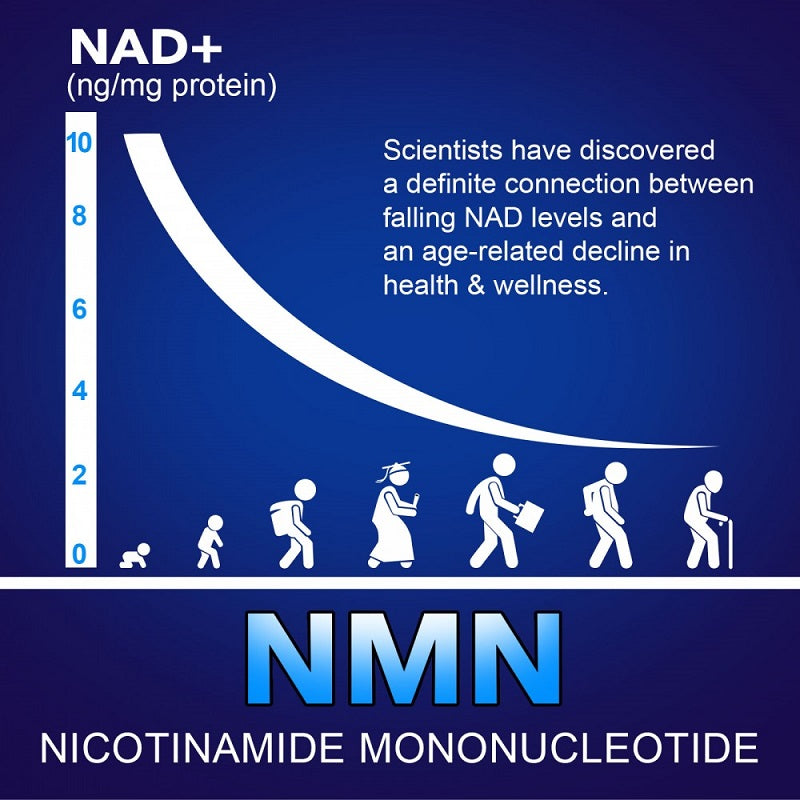 NAD+ and NMN infographic with scale chart and human silhouettes, nicotinamide mononucleotide text