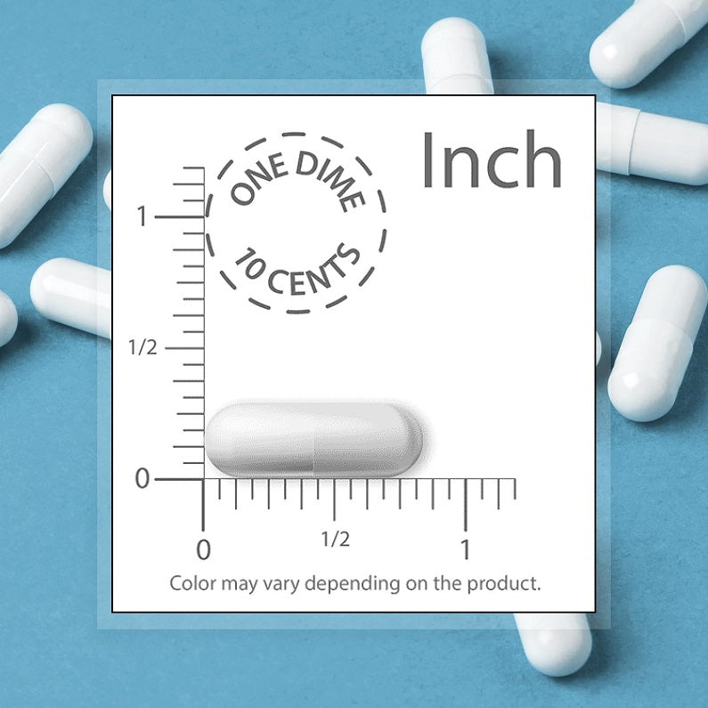 Catalase delayed-release capsule with ruler scale, about 1 inch long