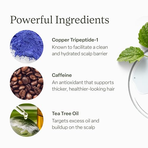 Scalp serum ingredient icons with bottle corner, caffeine and tea tree oil