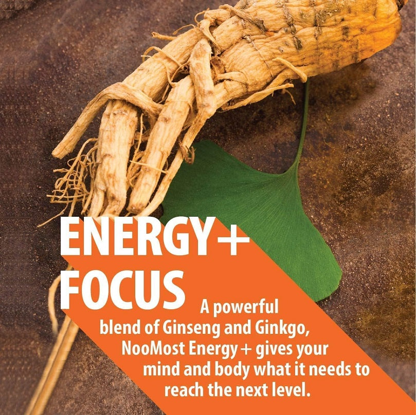 Panax ginseng roots with ginkgo leaf for supplement blend