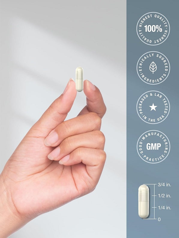 Off-white lithium orotate capsule held in hand with size guide marks