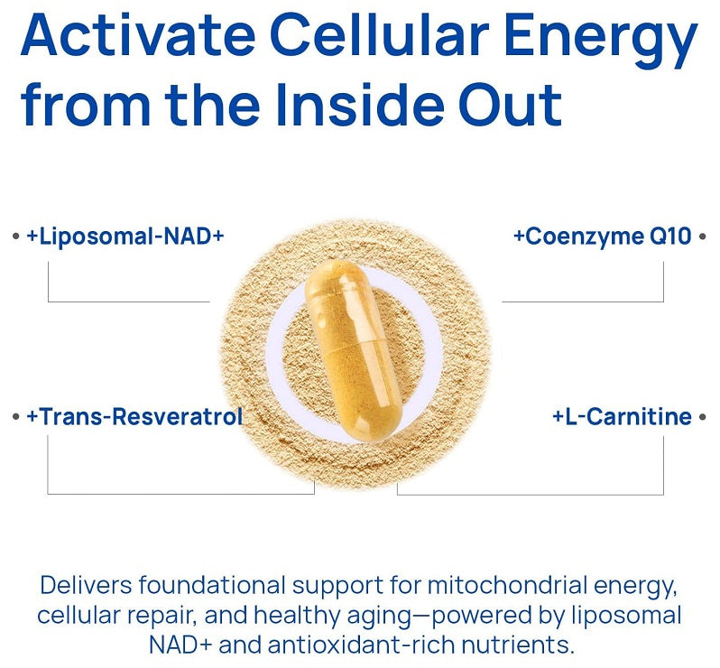 Liposomal NAD+ capsule diagram with Coenzyme Q10, Trans-Resveratrol, and L-Carnitine