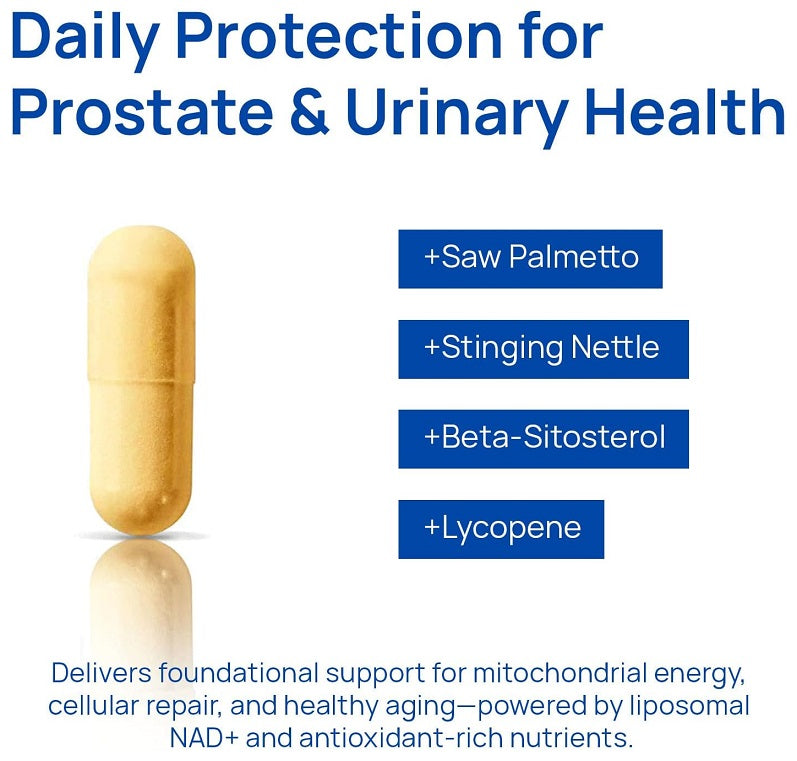 Prostate & urinary health capsule diagram with Saw Palmetto, Stinging Nettle, Lycopene