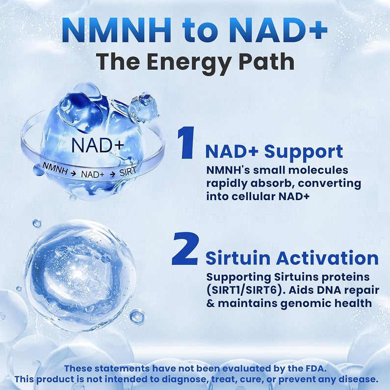 NMNH to NAD+ energy path infographic with NAD+ support and sirtuin activation