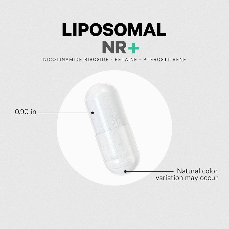 Codeage Liposomal Nicotinamide Riboside NR+