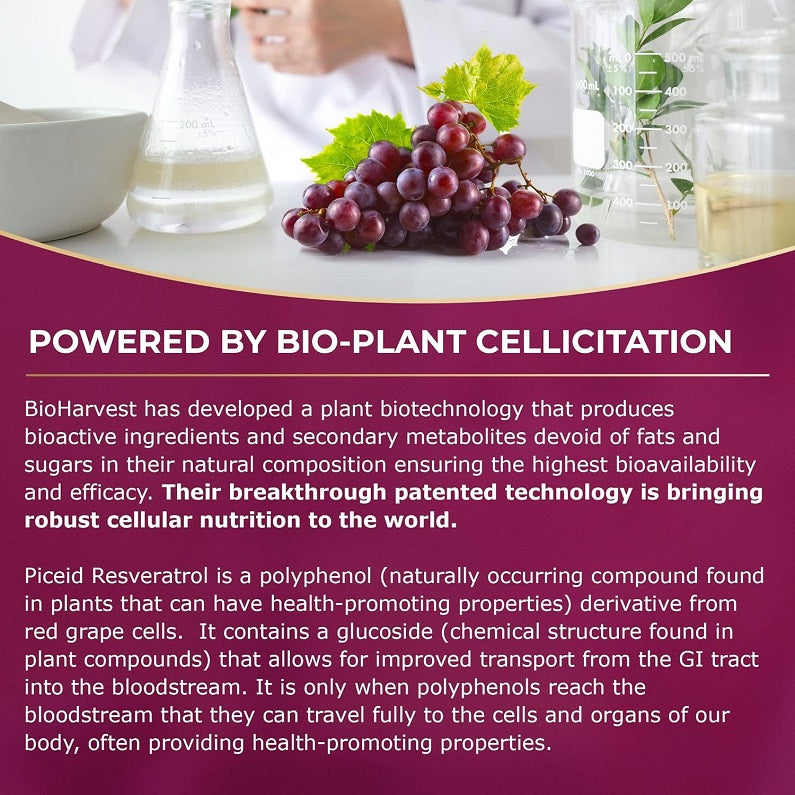 Red grape supplement infographic with grape cluster and powered-by technology text
