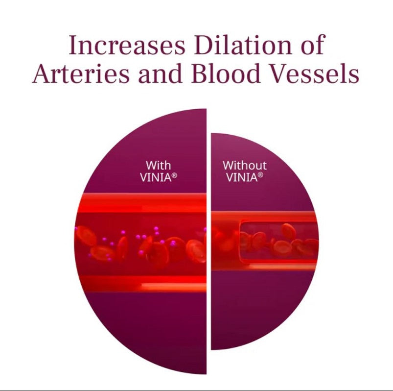 Blood vessel dilation comparison graphic for VINIA Piceid Resveratrol
