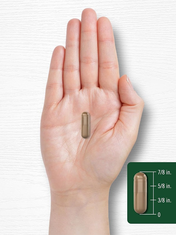 Soursop 2000mg quick release capsule in open palm, olive green