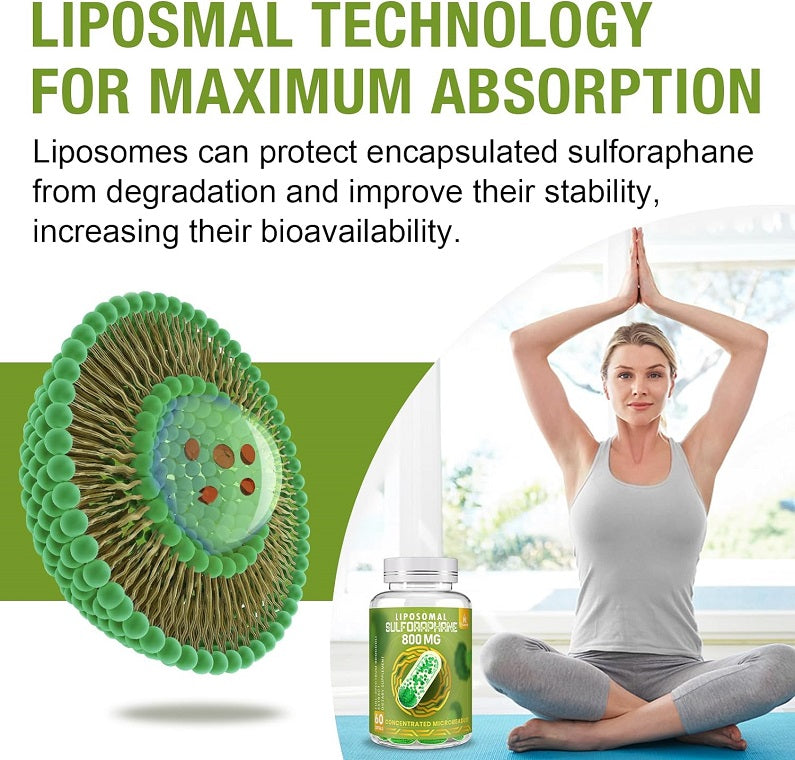 Liposomal sulforaphane 800 mg supplement bottle with liposome absorption diagram