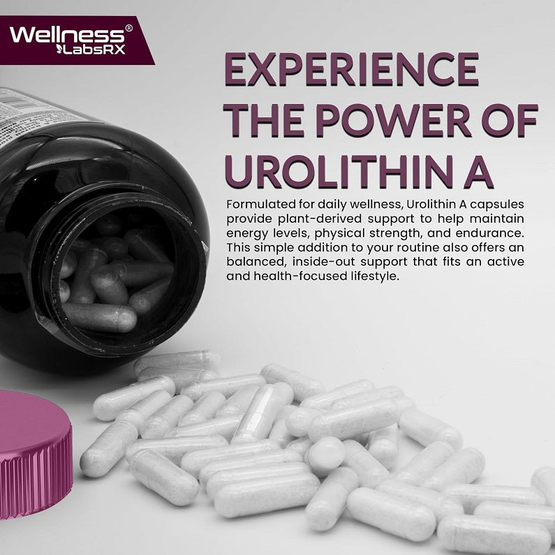 Wellness LabsRX Liposomal Urolithin A 1000mg