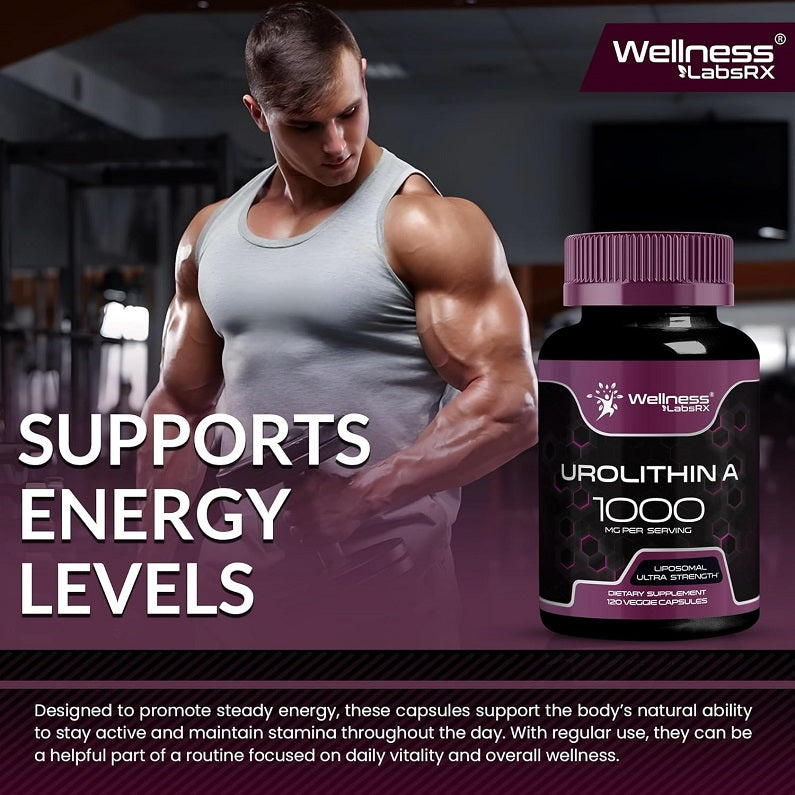 Wellness LabsRX Liposomal Urolithin A 1000mg