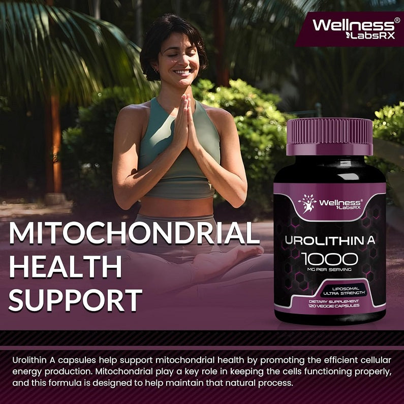 Wellness LabsRX Liposomal Urolithin A 1000mg