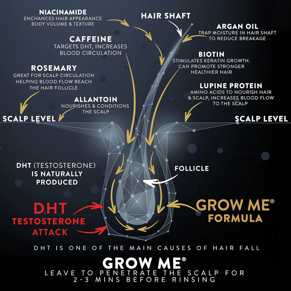 Scalp care infographic with argan oil, caffeine, rosemary, and hair-shaft arrows