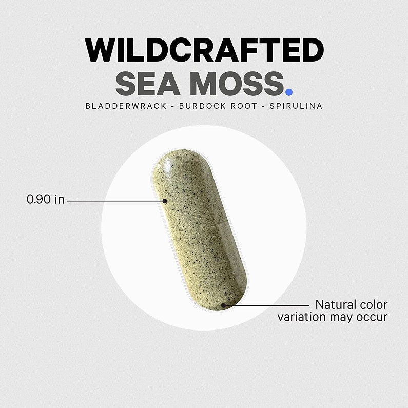 Codeage Raw Wildcrafted Sea Moss - bodytonix