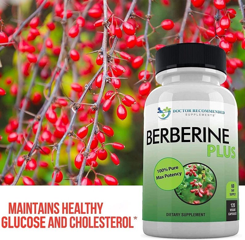 Berberine Plus dietary supplement bottle with green label and berry graphic