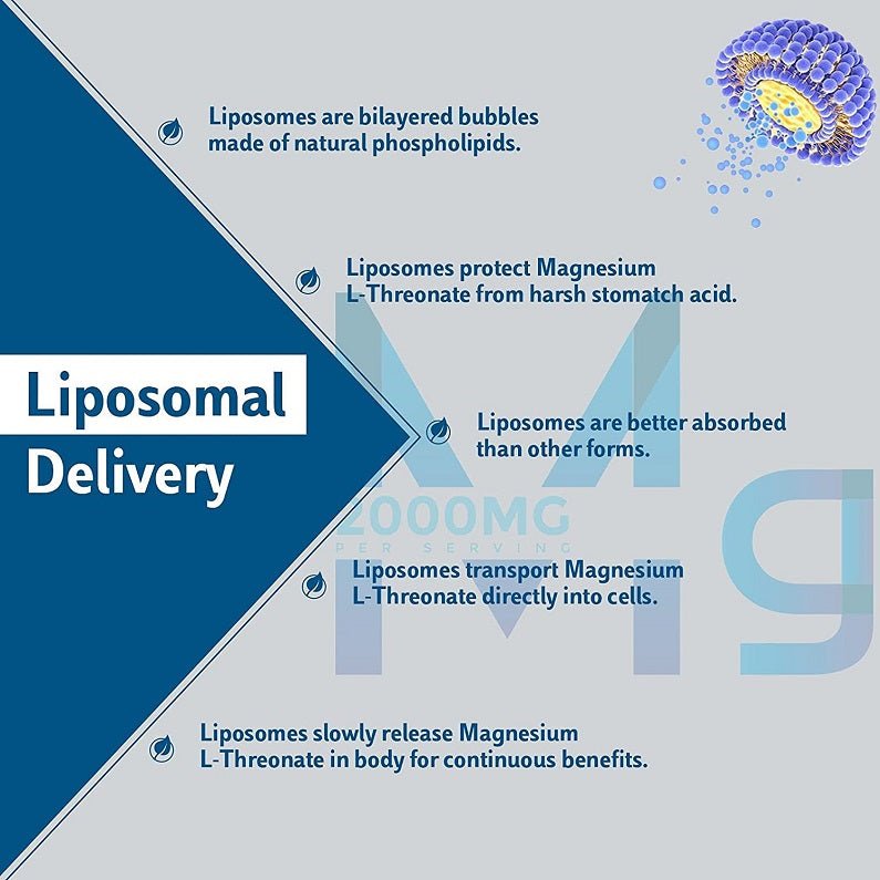 Energecko liposomal delivery graphic for magnesium L-threonate