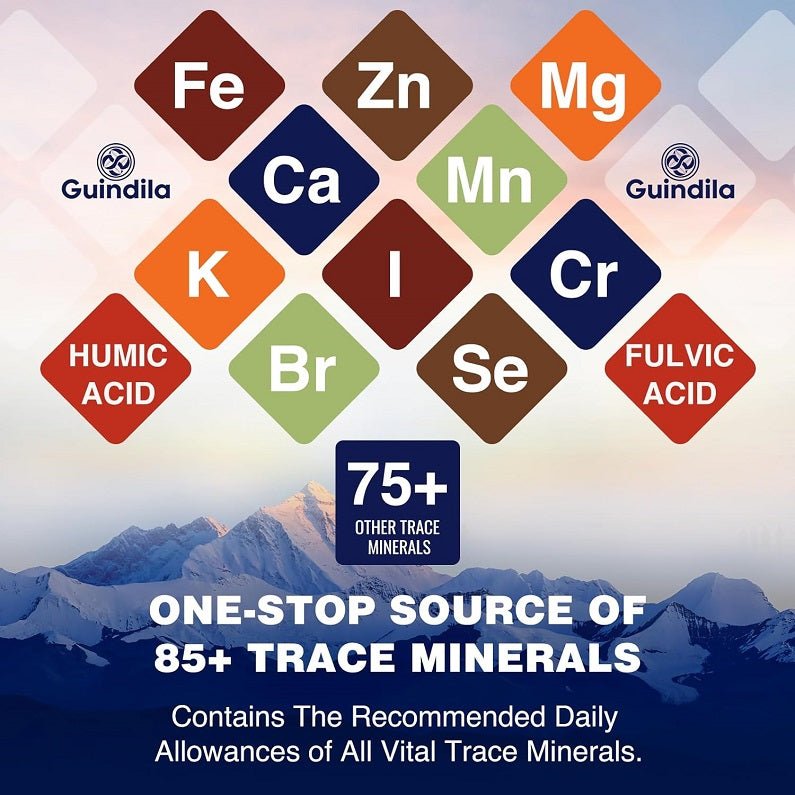Shilajit trace minerals infographic with humic acid and fulvic acid