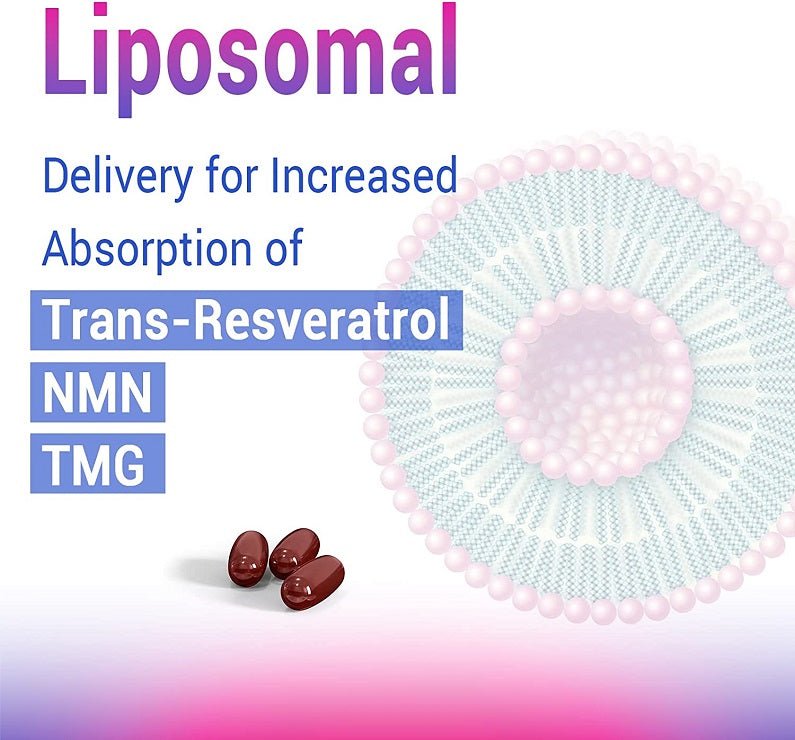 Liposomal delivery infographic for trans-resveratrol, NMN and TMG capsules