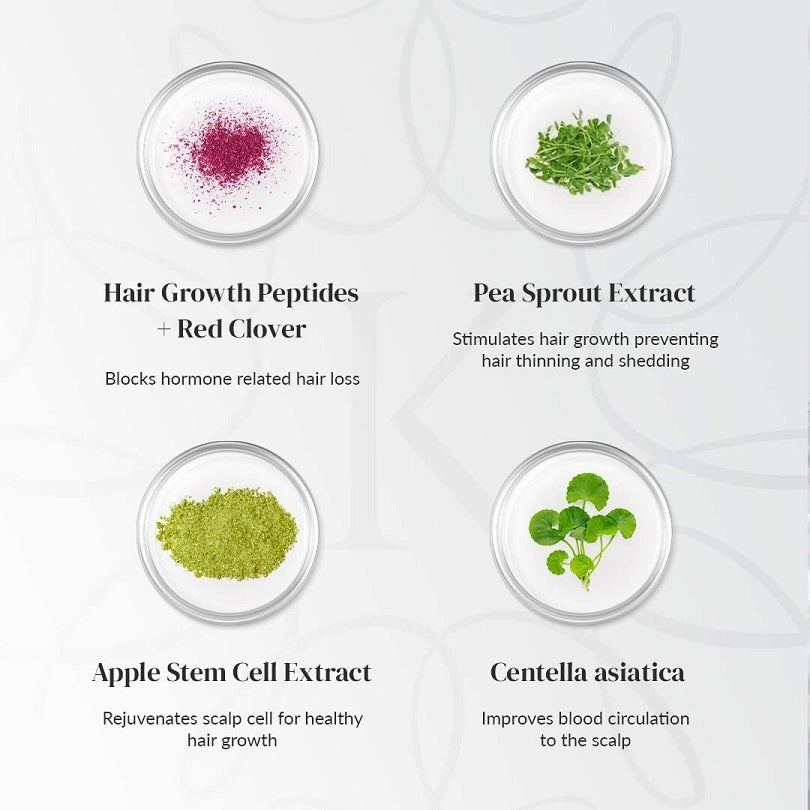 Hair growth drops ingredient infographic with peptides, pea sprout, apple stem, centella.