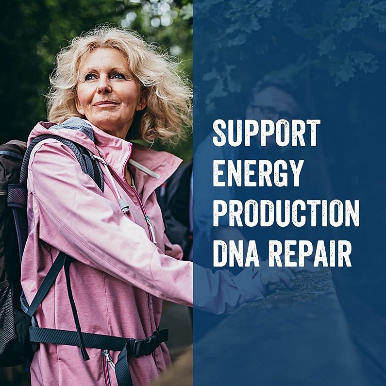 Lepoznan supplement ad panel supporting energy production and DNA repair
