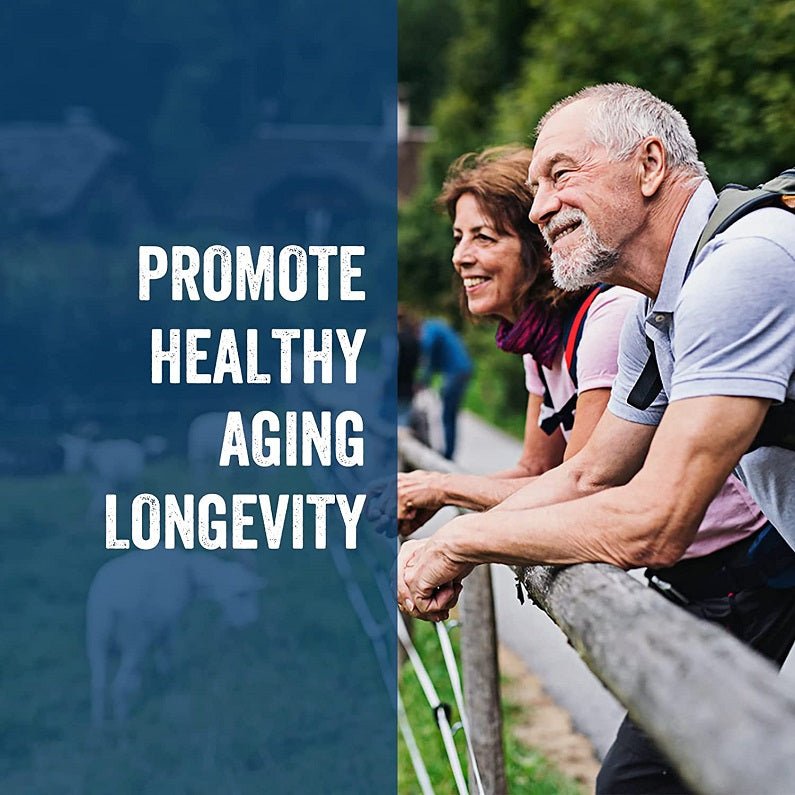 Lepoznan supplement ad panel promoting healthy aging and longevity