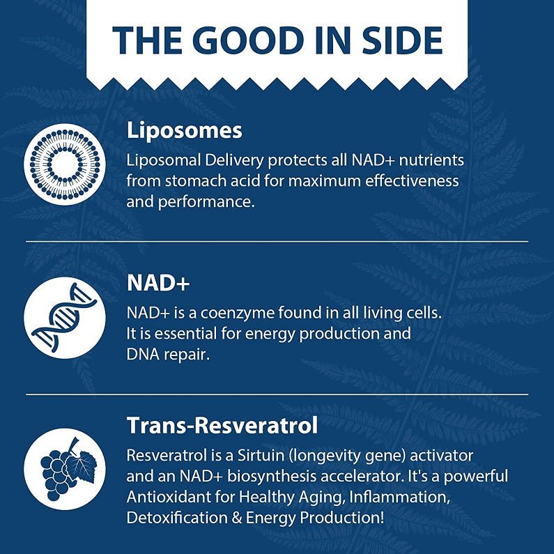Lepoznan liposomal NAD+ supplement info panel explaining NAD+ and Trans-Resveratrol