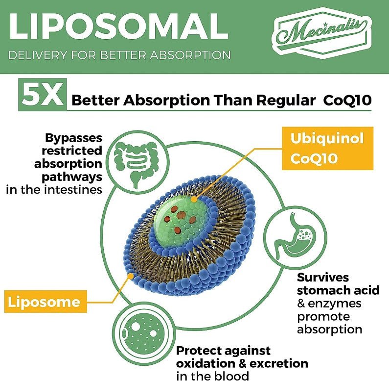 Liposomal delivery infographic for CoQ10 ubiquinol, 5X better absorption than regular