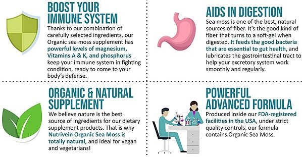 Sea moss supplement infographic showing immune support, digestion help, and natural ingredients