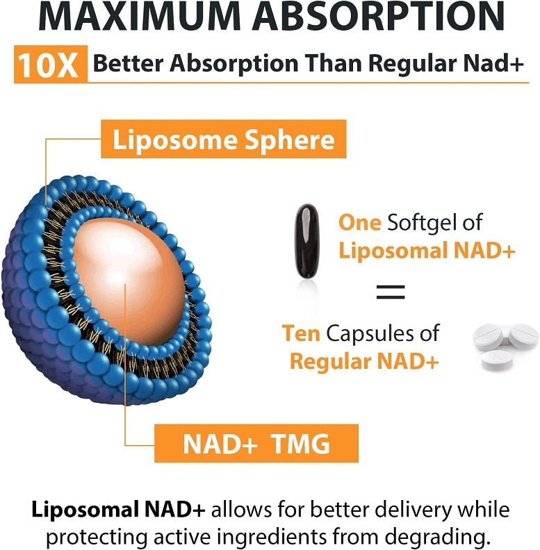 Liposomal NAD+ absorption infographic with liposome sphere and softgel comparison