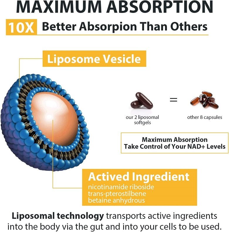 Liposomal absorption diagram showing liposome vesicle and softgel comparison