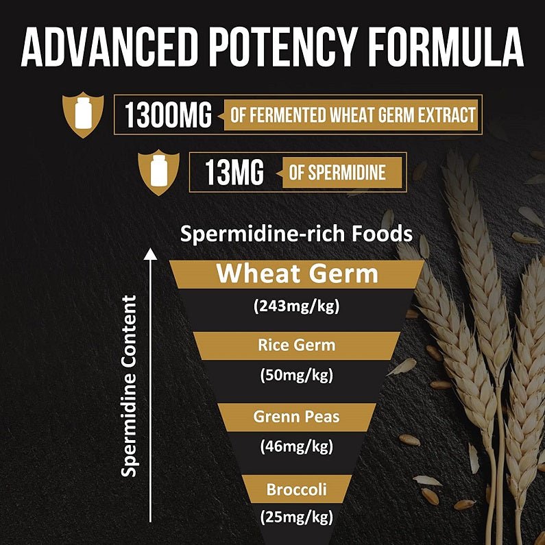 Advanced potency infographic listing 1300mg fermented wheat germ extract and 13mg spermidine