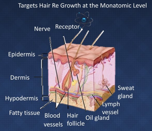 Vital Hair Labs HaironX Gold Hair Growth Formula - bodytonix